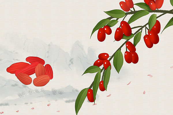 ��������ɫ������ ������ʳ������Щ